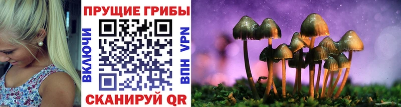 darknet Telegram  Яранск  Галлюциногенные грибы ЛСД  цена наркотик 